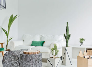 listing_type