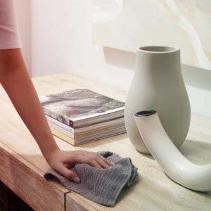 cleaning-2-1-300x300