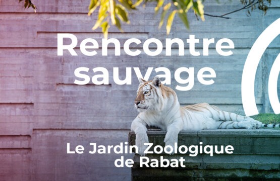 Jardin Zoologique Rabat
