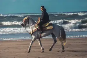best time to visite Casablanca