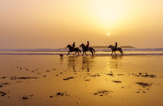 la plage la plus proche de Marrakech - Stayhere