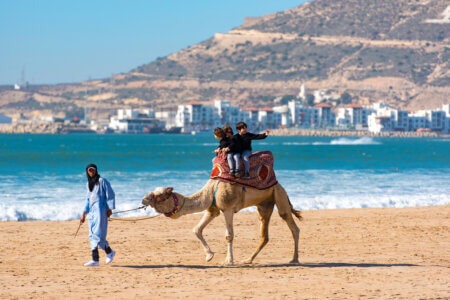 Camel with tourists in Agadir