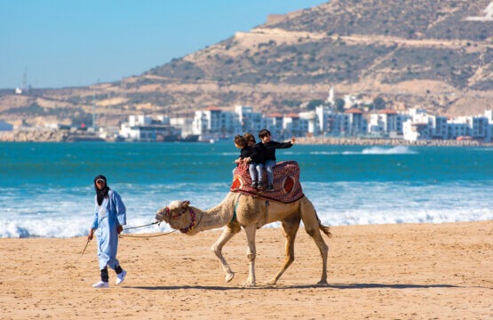 Camel with tourists in Agadir