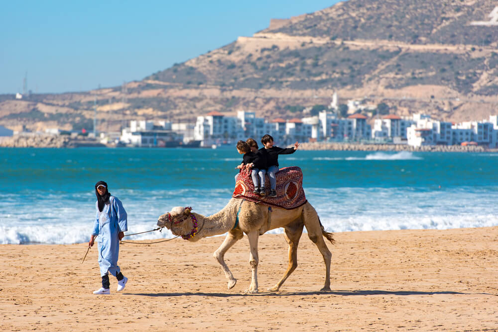 Camel with tourists in Agadir