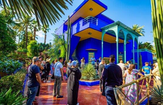 Jardin Majorelle gardens in Marrakech